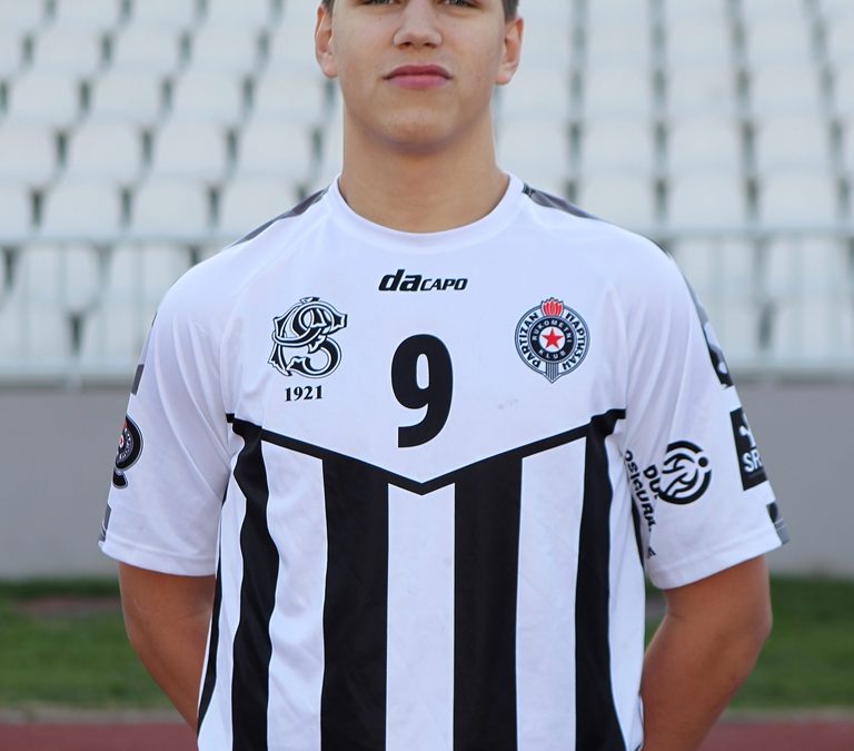 Milenković Vuk